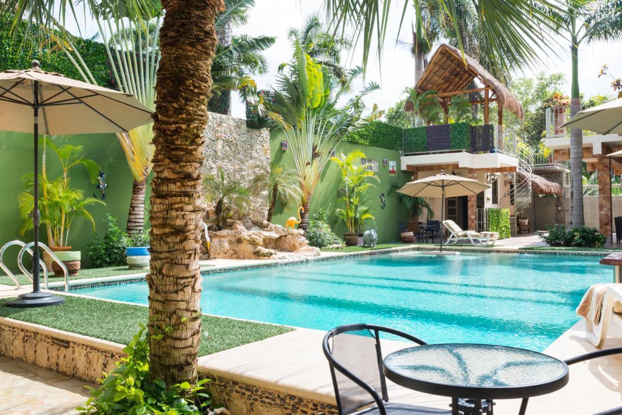 Alamos Inn Hotel Con Jacuzzi Y Piscina カンクン エクステリア 写真